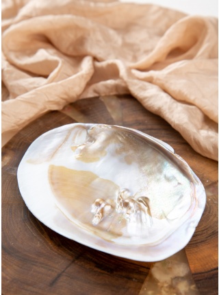 Mušľa – mabe perla lastúra