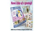 V predaji je decembrové číslo mesačníka Balans, plné veselých aj dojímavých vianočných príbehov!
